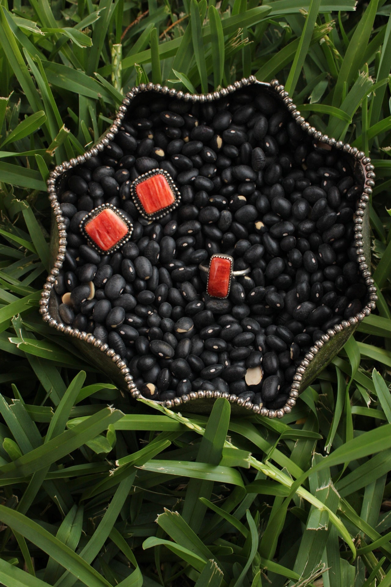 Red Spiny Ring