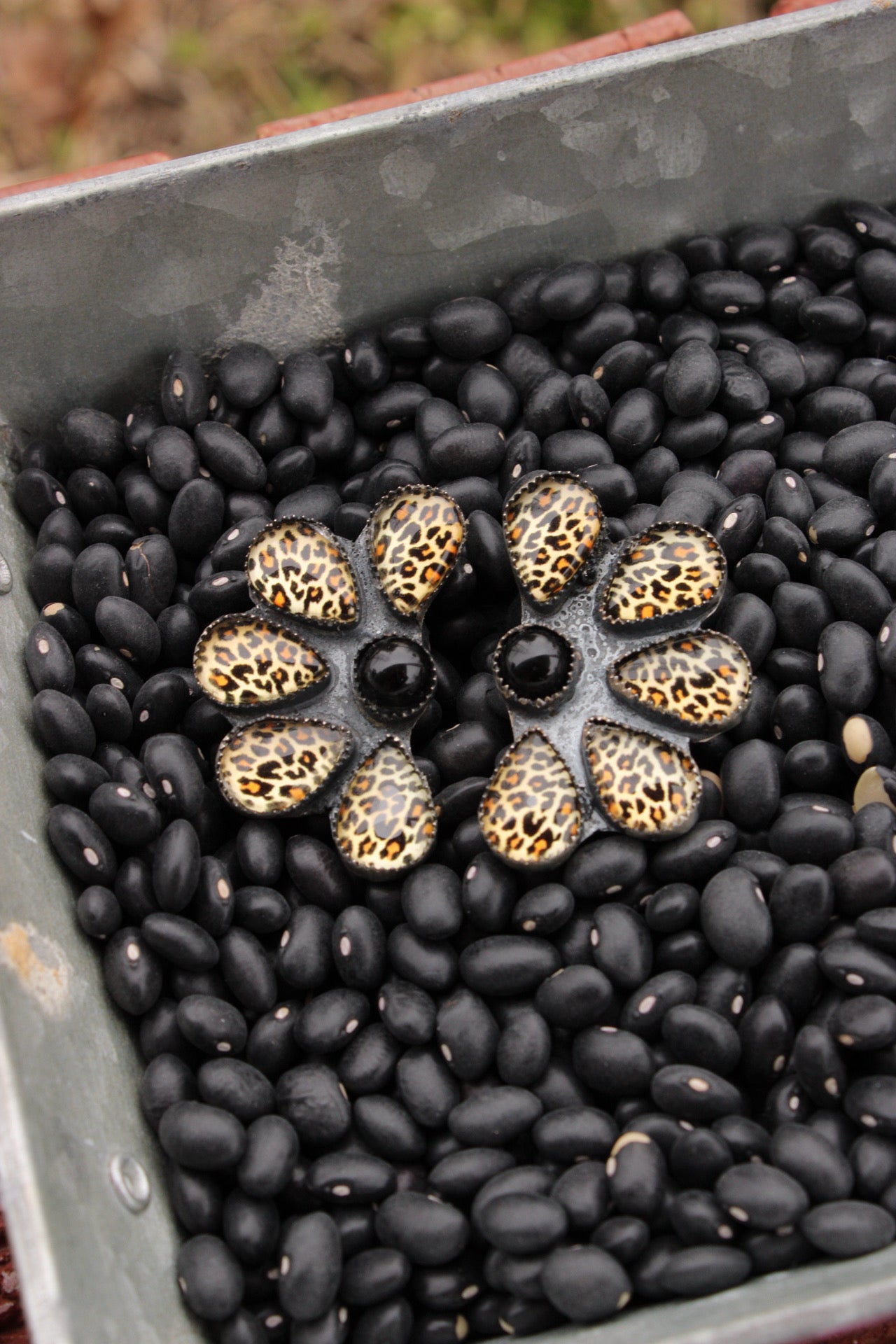 Cheetah Girl Half Clusters