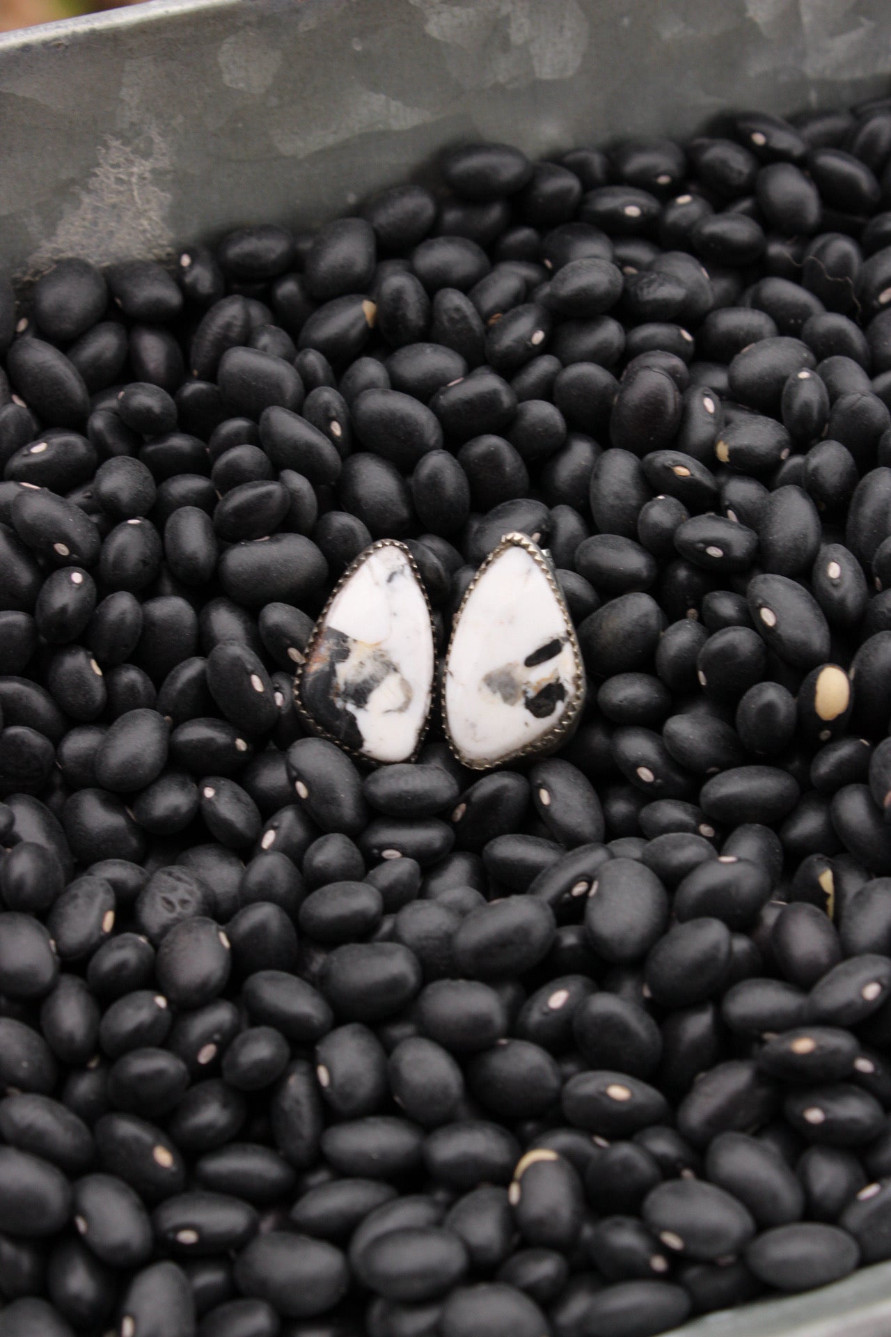 White Buffalo Earrings